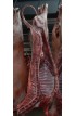 DEMI-AGNEAU