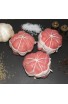 Paupiettes de veau
